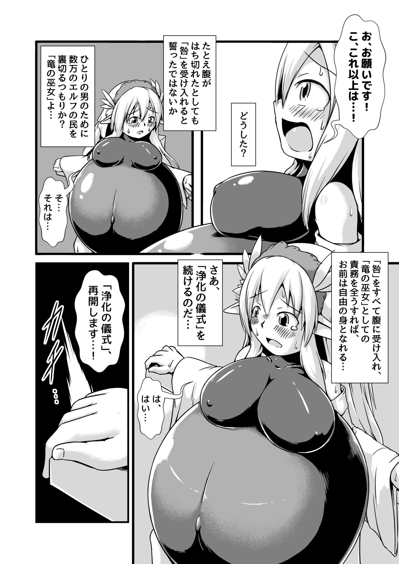 Elf no Ryuu no Miko to Jouka no Gishiki page 12 full