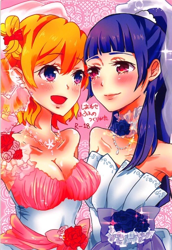 (Rainbow Flavor NAGOYA 7) [Akaringo-chan (Mikorin)] Shiawase Fuufu no Tsukurikata (Mahou Tsukai PreCure!) cover