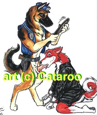 cataroo gallery page 1 full