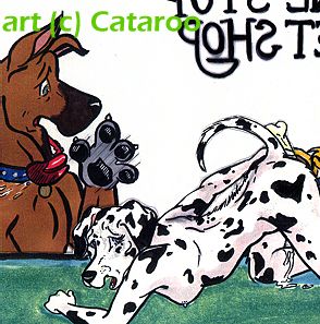cataroo gallery page 10 full