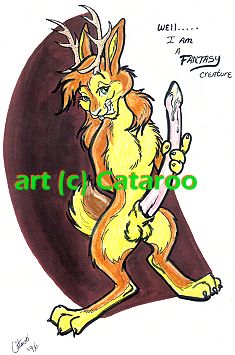 cataroo gallery page 11 full