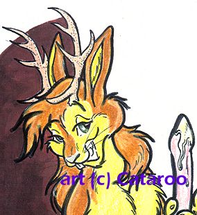 cataroo gallery page 12 full