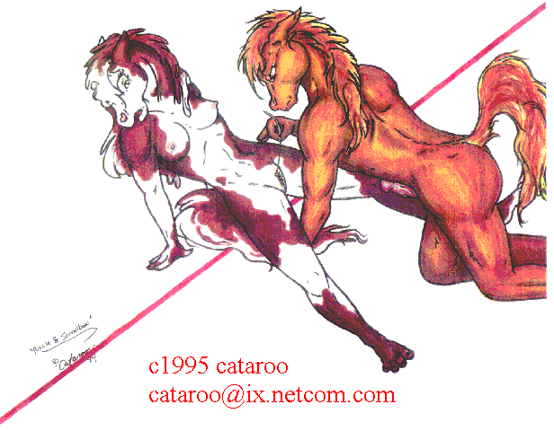 cataroo gallery page 2 full