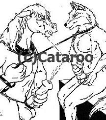 cataroo gallery page 4 full