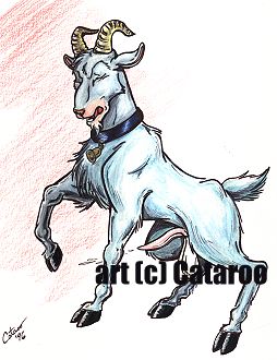 cataroo gallery page 8 full