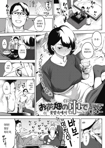 [Rocket Monkey] Ohanabatake no Naka de | 꽃밭속에서 (COMIC HOTMILK 2019-02) [Korean] [Digital] cover