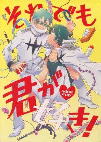 (Ifuudoudou Sarani Aratame) [Sukidarake, chippus! (Fukuzawa Yukine, Chippu)] Soredemo Kimigasuki! (Kill la Kill) cover