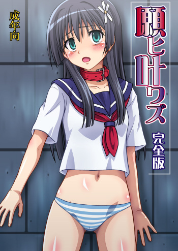 [Chi-Ra-Rhyzhm (Hidaka Toworu)] Negai Kanawazu Kanzenban (Toaru Kagaku no Railgun) [Digital] cover