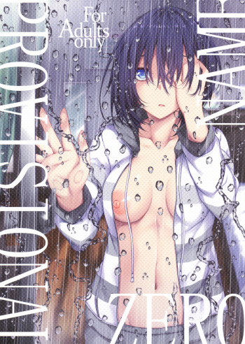 (COMIC1☆14) [RainBoy (Stealyy)] PROVISIONAL NAME ZERO cover