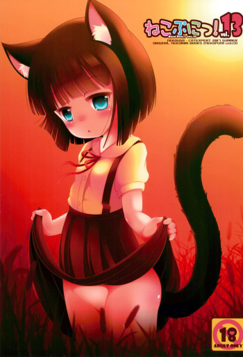 (C92) [Cat Expert (Nekousa)] Neko Puni! vol.13 cover