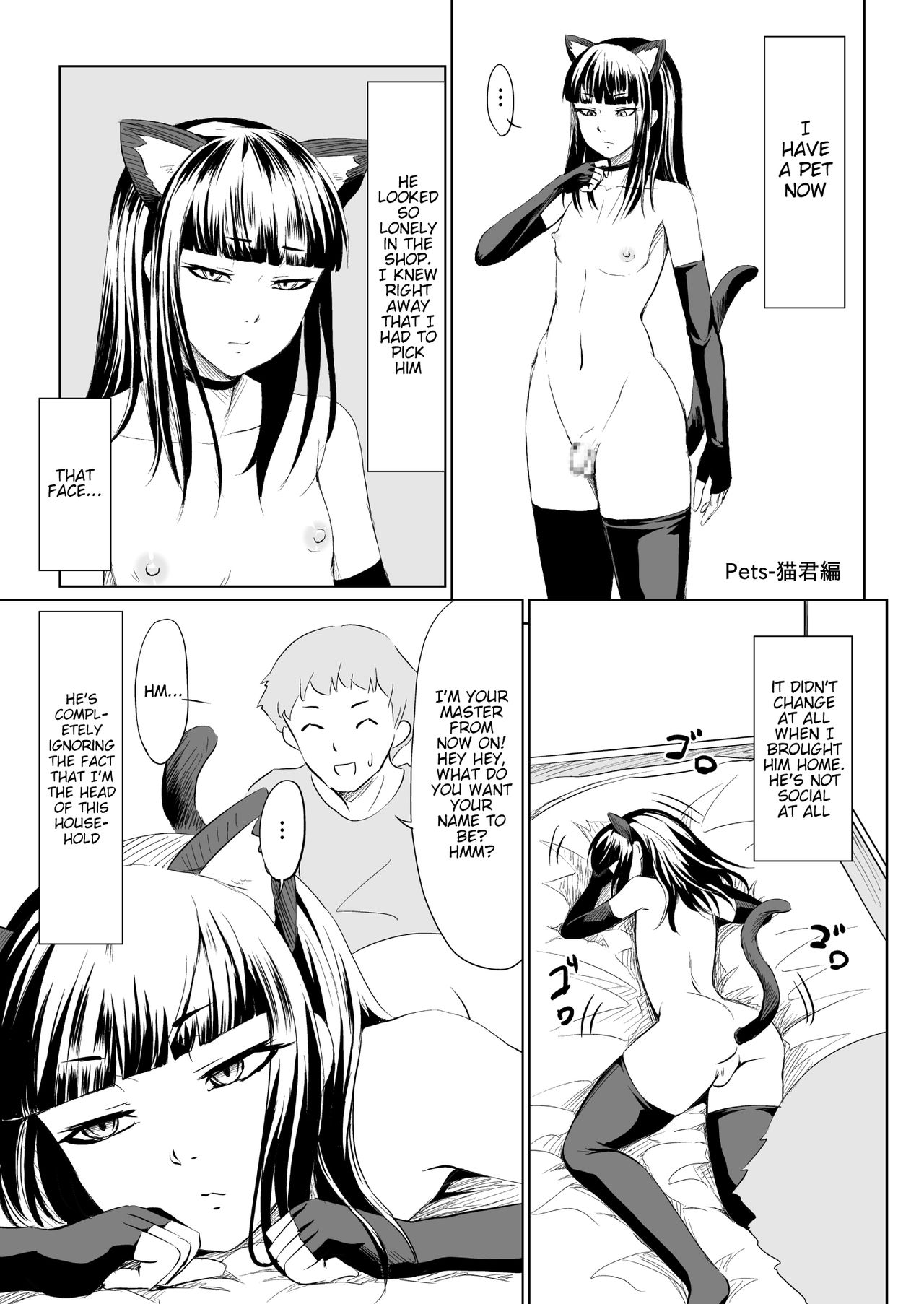 Pets- page 2 full