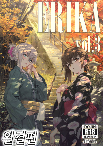 (C94) [SHIOHAMA (Hankotsu max)] ERIKA Vol. 3 (Girls und Panzer) [Korean] cover