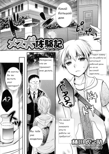 [Hayashida Toranosuke] Mesuinu Taikenki | Bitch Experience Note (Nyotaika Happiness!) [RUS] cover