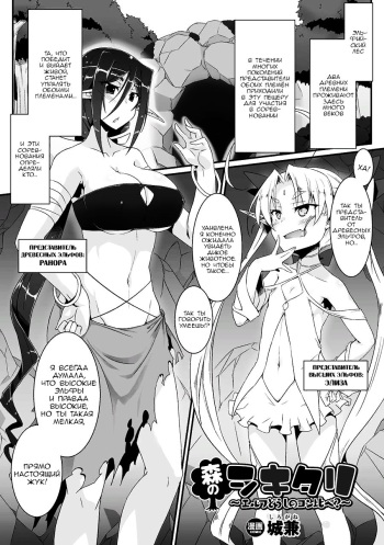 [Shirogane] Mori no Shikitari ~Elf Doushi no Kon Kurabe~ (2D Comic Magazine Futanari Battle Fuck!! Vol. 2) [Russian] [Prometheus] [Digital] cover