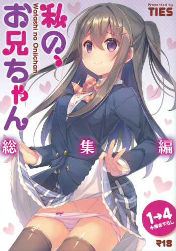 (C94) [TIES (Takei Ooki)] Watashi no, Onii-chan Soushuuhen cover