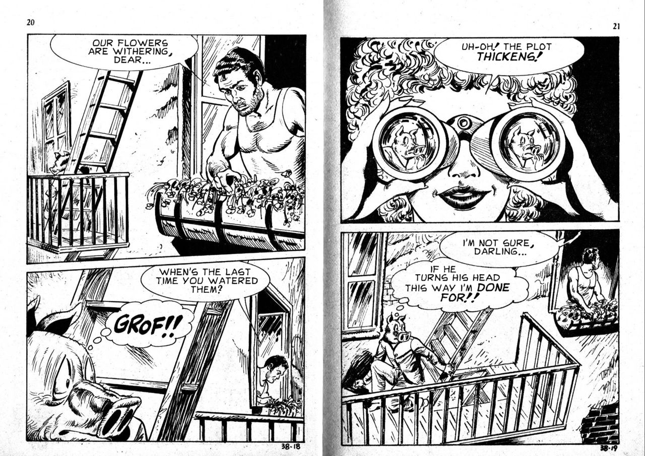 PIG #38 "PIG HUNT" - ENGLISH page 11 full
