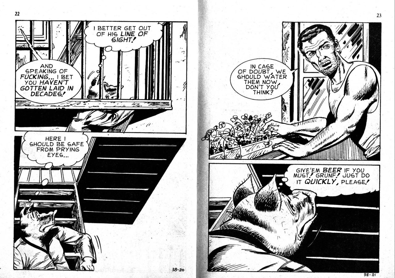 PIG #38 "PIG HUNT" - ENGLISH page 12 full