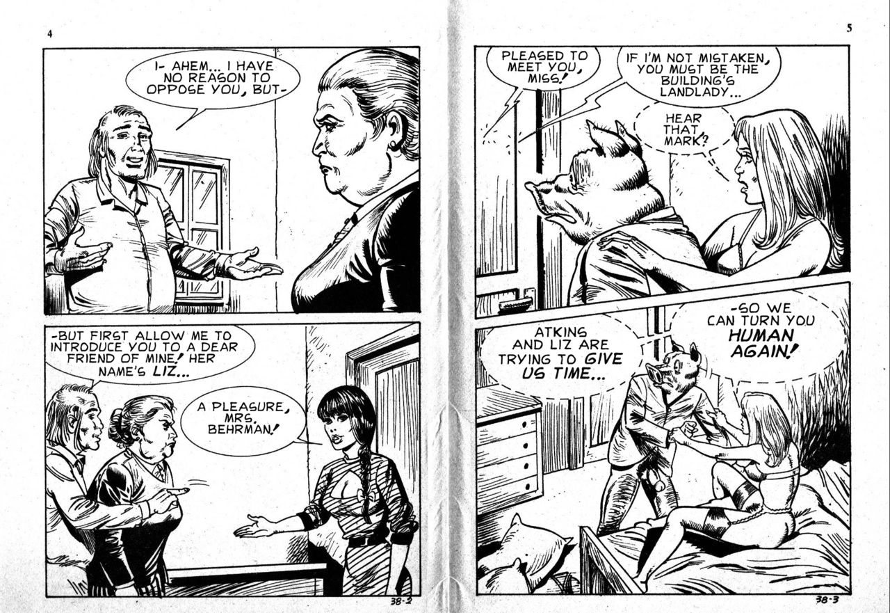PIG #38 "PIG HUNT" - ENGLISH page 3 full