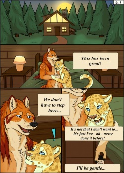 wolfool <span class='split_tag'> |  Darkfool</span>