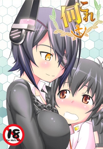 (C88) [Rikudou Juku (Unamu)] NaniKore (Kantai Collection -KanColle-) cover