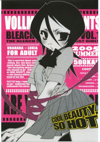 (C68) [VOLLMOND (Ruri)] COOL BEAUTY, SO HOT (Bleach) cover