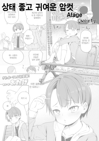 [Atage] Tsugou ga Yokute Kawaii Mesu. | 상태 좋고 귀여운 암컷 (COMIC LO 2019-01) [Korean] [Qwerty] [Digital] cover