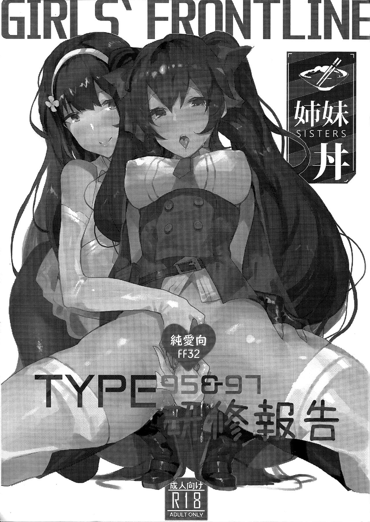 TYPE95&97 Maintenance Report page 2 full