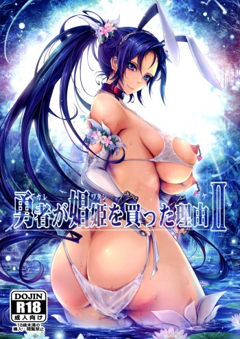 (C95) [Garyuh-Chitai (TANA)] Kare ga Watashi o Katta Wake II (Dragon Quest XI) cover