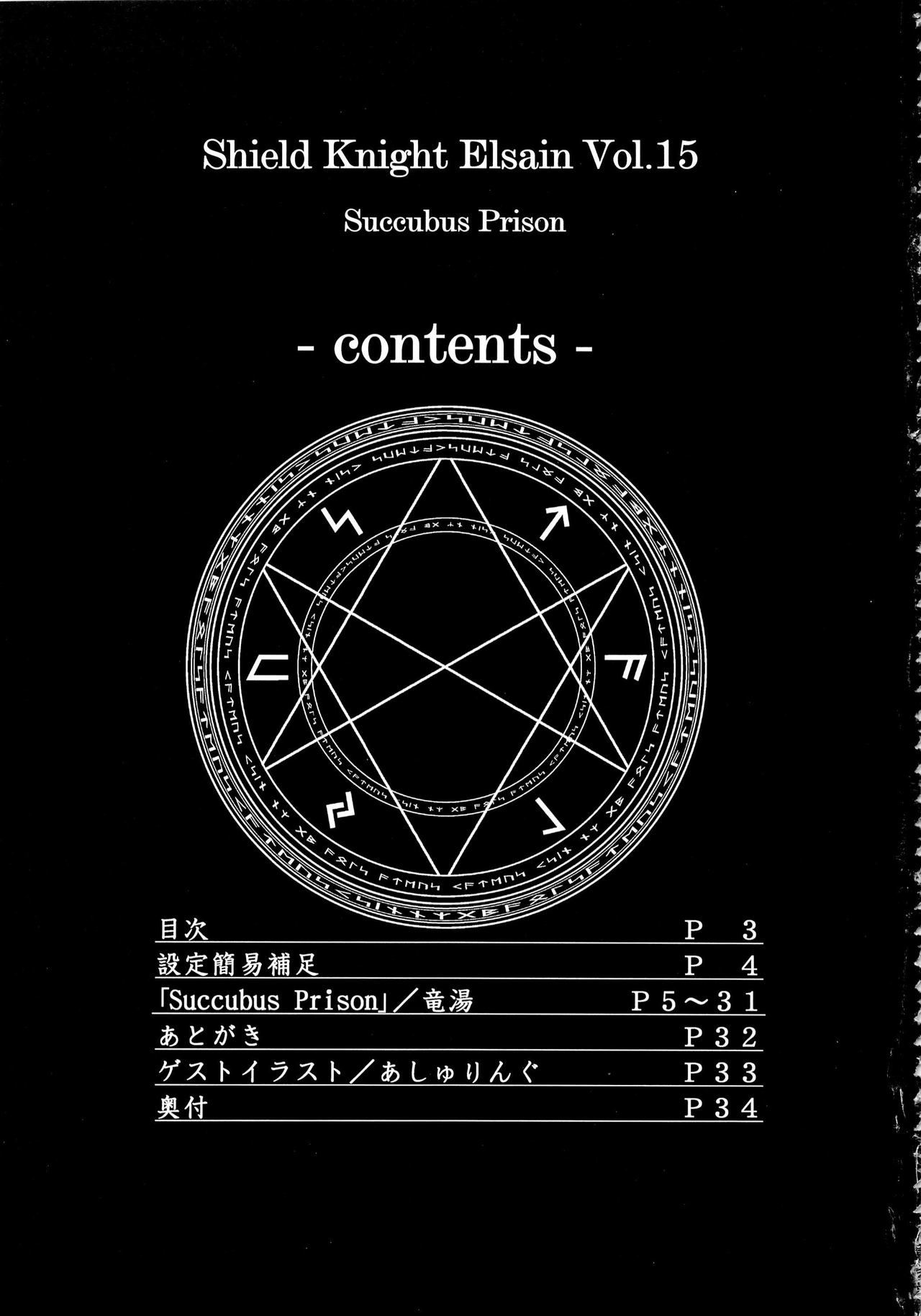 Shield Knight Elsain Vol. 15 Succubus Prison  SMDC-Translations page 3 full