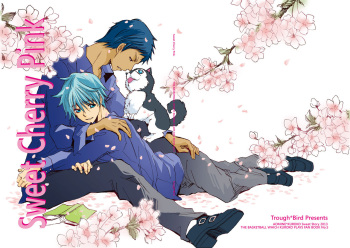 (Shadow Trickster 5) [Trough-Bird (Minase Taruhi)] Sweet Cherry Pink (Kuroko no Basuke) cover