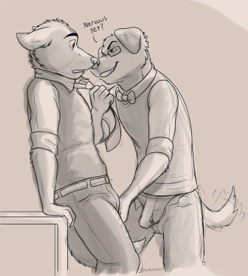 [Jackaloo] Patreon Requests cover
