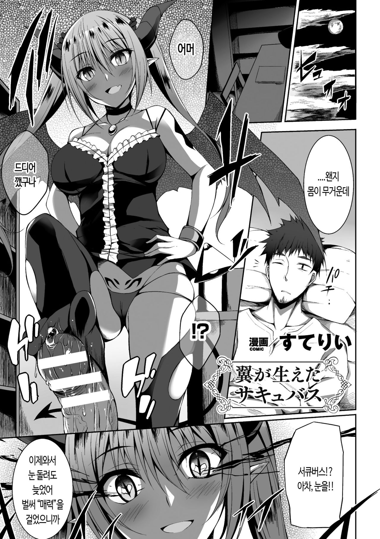 Tsubasa ga Haeta Succubus page 3 full