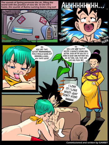 [Everfire] Chi Chi's Valentine 2 (Dragon Ball Z) cover