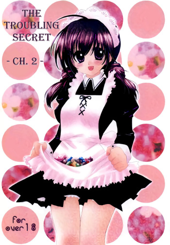 (C67) [Sakurakan (Seriou Sakura)] Tobikiri no Himitsu 2 | The troubling secret 2 (Inuyasha) [English] [EHCove] cover