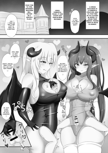 [WaP] Succubus Goudoushi [English] [Digital] cover