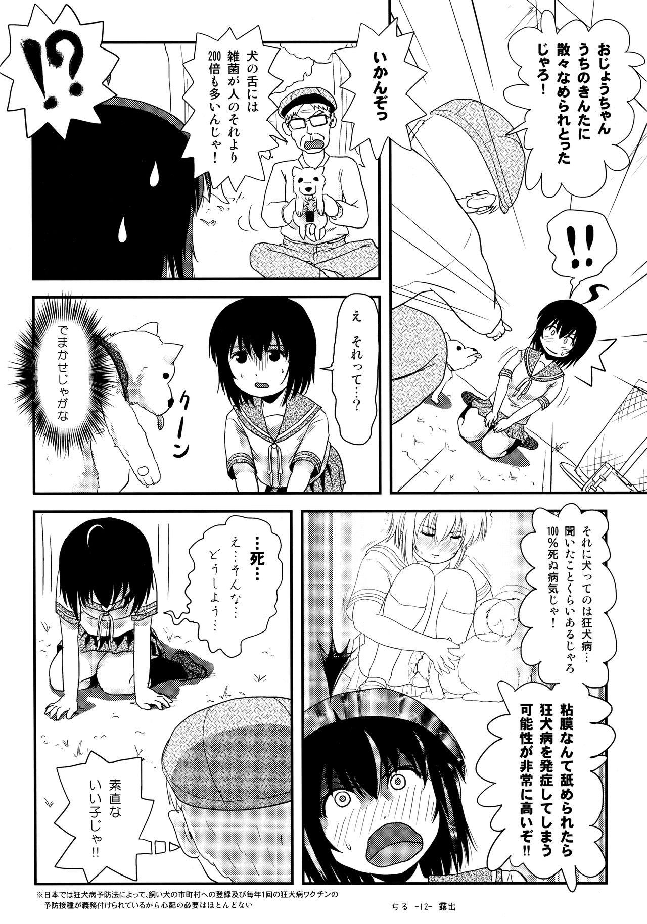 Chiru Roshutsu 13 page 11 full