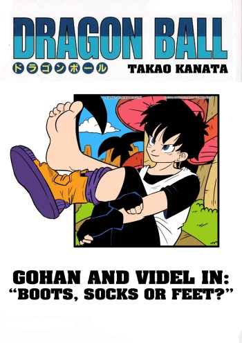 Gohan & Videl in: "Boots, Socks or Feet?" cover