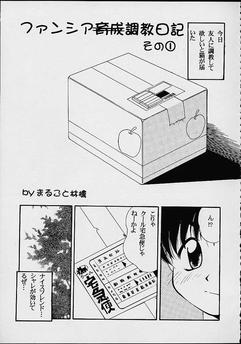 Fancia Ikusei Nikki page 2 full