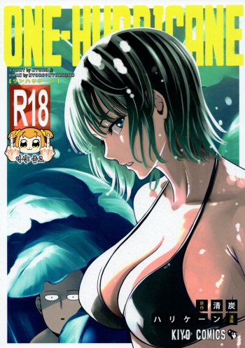 (C93) [Kiyosumi Hurricane (Kiyosumi Hurricane)] ONE-HURRICANE 6 (One Punch Man) [Korean] [풉코] cover
