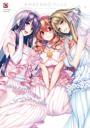 Amakano＋ Visual Fan Book cover