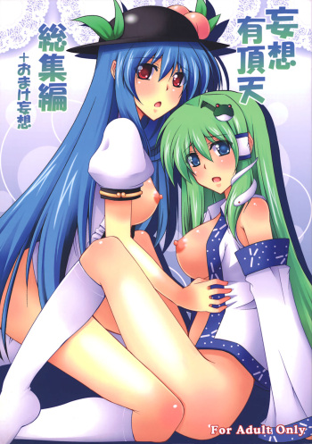 (C76) [Dokomademo Aoi Sora ni Ukabu Niku. (Nikusoukyuu.)] Mousou Uchouten Soushuuhen + Omake Mousou (Touhou Project) cover