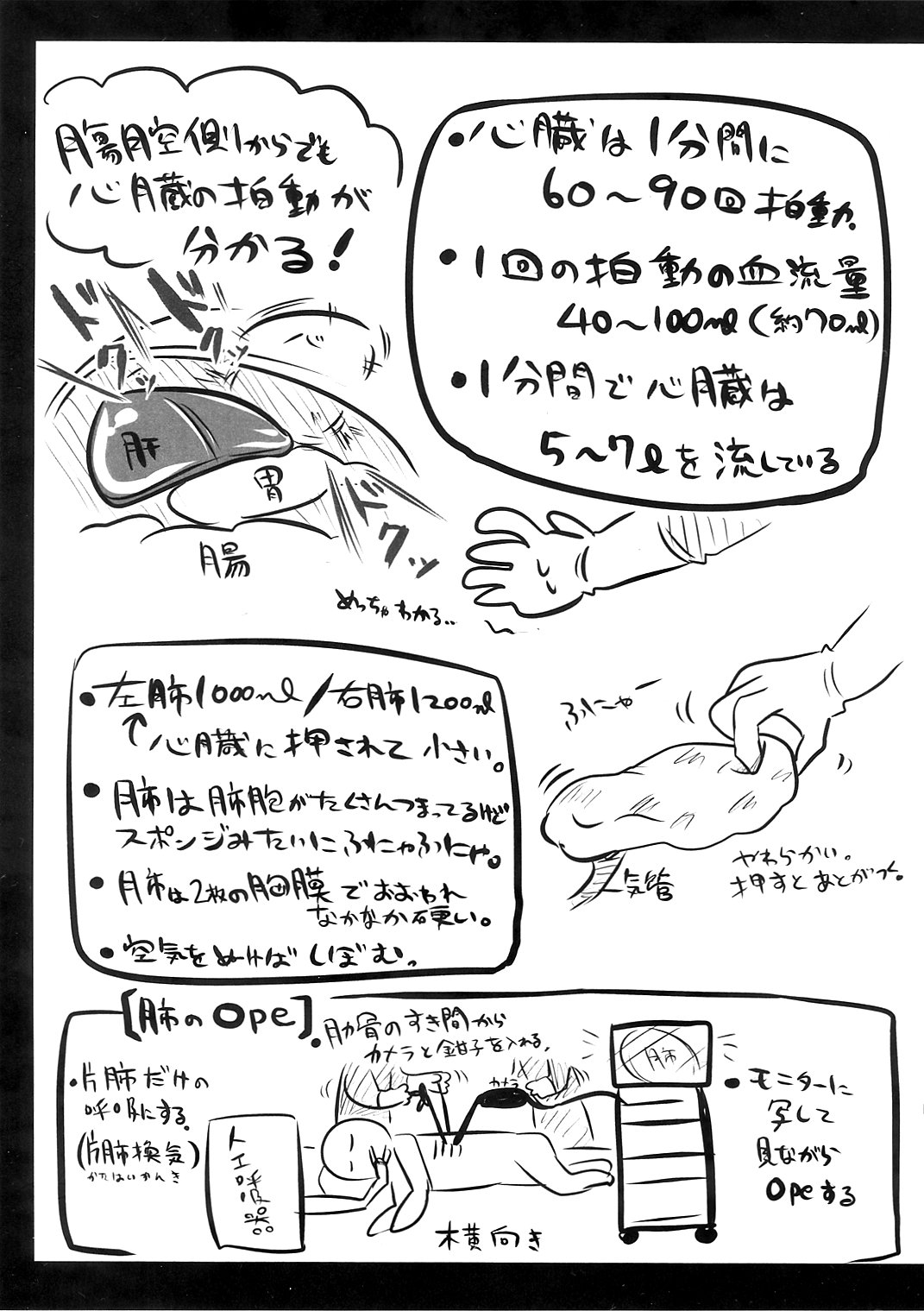 Ryonara no Tame no Kaibou Seiri page 11 full