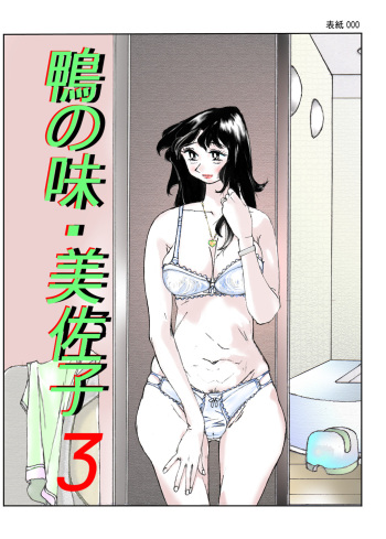 [Katanashi Apollo] Kamo no Aji - Misako 3 [English] [N04h] [Digital] cover