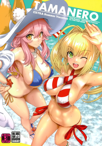 (C94) [Uguisuya (Uguisu Kagura)] TAMANERO (Fate/Grand Order) cover