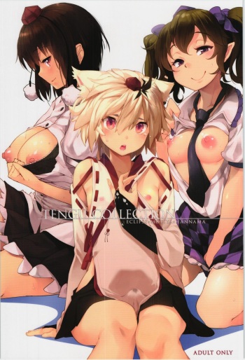 (Reitaisai 12) [Eclipse, Mochi-ya, Hannama (Rougetu, Karochii, Soine)] TENGU COLLECTION (Touhou Project) cover
