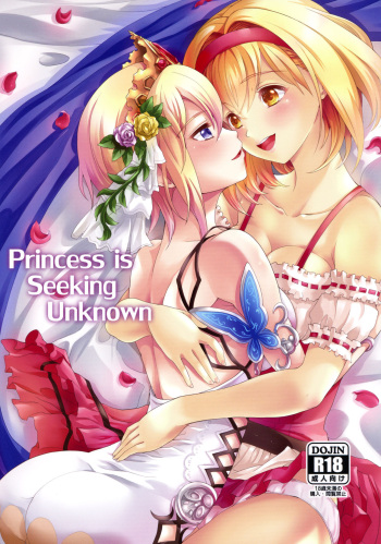 (C95) [Memoria (Tilm)] Princess is Seeking Unknown (Granblue Fantasy) cover