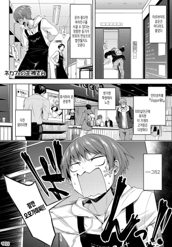 [Haguruma] Nekafe no Omogami-San (COMIC Anthurium 2018-02) [Korean] [Digital] [커피우유] cover