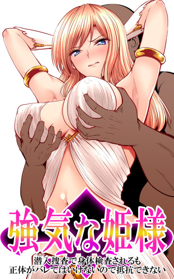 [Kasuterura (Shima Syu)] Tsuyoki na Hime-sama - Sennyuu Sousa de Shintai Kensa Sareru mo Shoutai ga Barete wa Ikenai node Teikou Dekinai cover