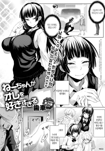 [Haguruma] Nee-chan ga Ore o Suki Sugiru (COMIC Anthurium 2018-07) [Korean] [커피우유] [Digital] cover
