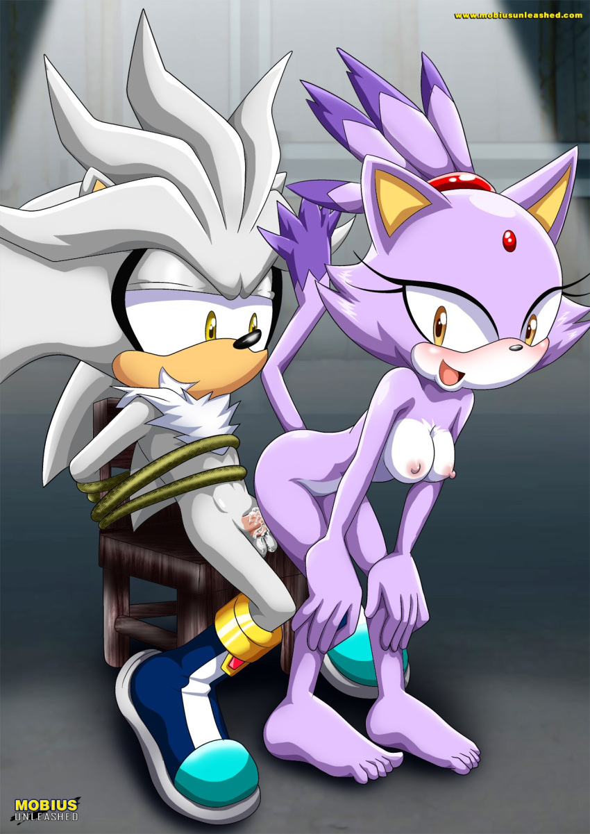 Mobius Unleashed: Silvaze page 11 full